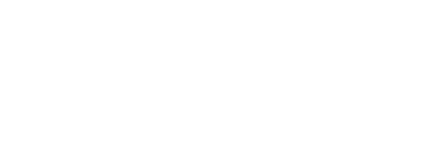 LogWiz Logo